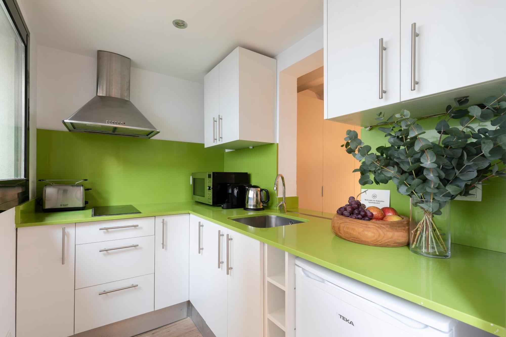 Apartamento Aspasios Verdi *